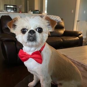 Meet your Posher, Kristina